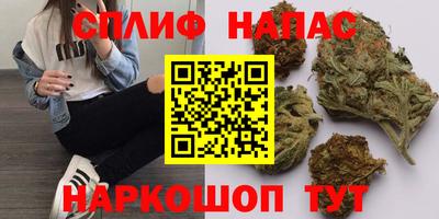 бошки Сланцы