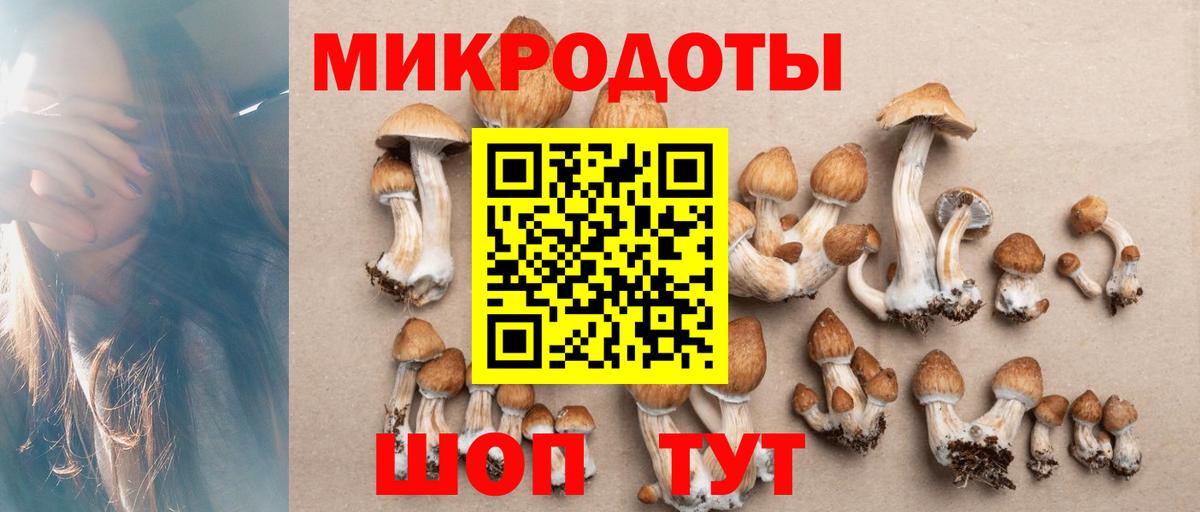 Малгобек  Псилоцибиновые грибы MAGIC MUSHROOMS  Вход с VPN  Псилоцибиновые грибы Psilocybe 